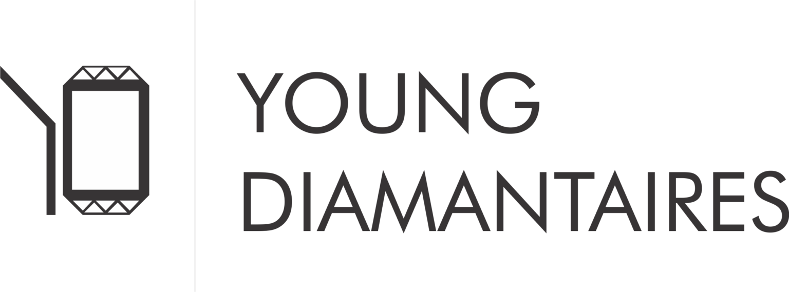 YD LOGO IN Png 1536x569 1